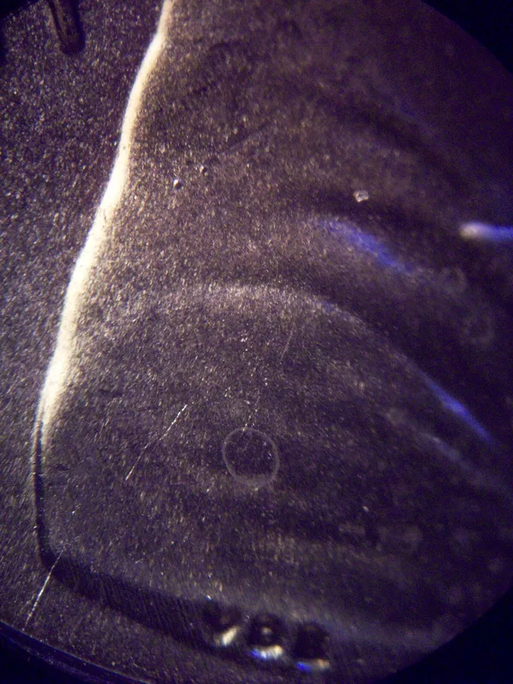 2022-D-LSC-WDDR-003-Doubled-Die-REV-BU